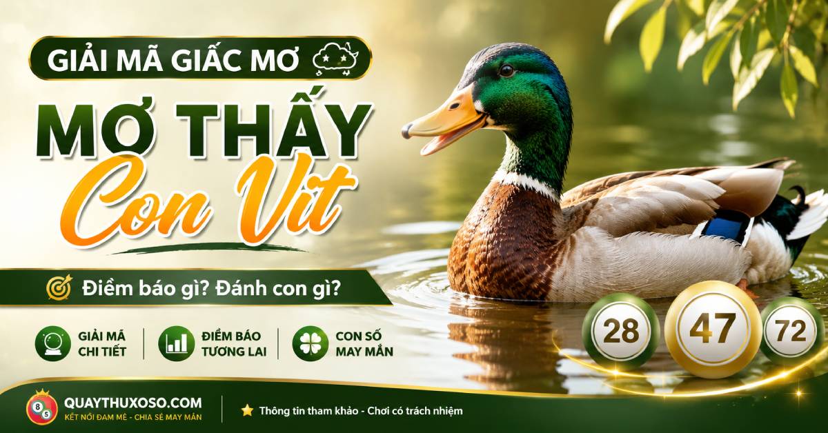 Mơ thấy con vịt