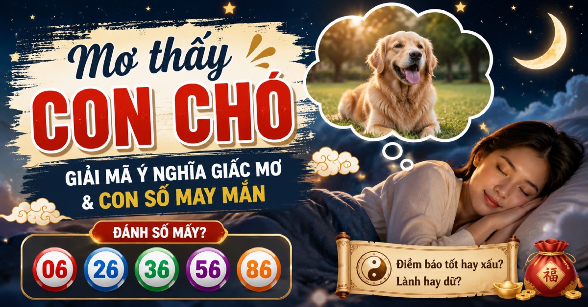 Mơ thấy con chó